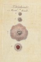 Csorba József: Hygiastika vagy is orvosi oktatás, mit kell tenni az egésség fenn-tartására, és a bet...