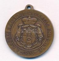 1903. "Pro Libertate / A kassai Rákóczi-kiállítás emlékére" kétoldalas bronz emlékérem fül...