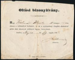 1863 Arad, oltási bizonyítvány