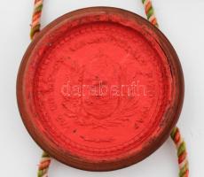 1910 Díszes erdőmérnöki oklevél, a Selmecbányai M. Kir. Bányászati és Erdészeti Főiskola Erdőmérnöki...