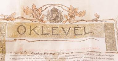 1910 Díszes erdőmérnöki oklevél, a Selmecbányai M. Kir. Bányászati és Erdészeti Főiskola Erdőmérnöki...