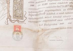 1910 Díszes erdőmérnöki oklevél, a Selmecbányai M. Kir. Bányászati és Erdészeti Főiskola Erdőmérnöki...