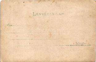 1900 Vajdahunyad, Hunedoara; Vajdahunyad vára / castle. Péntek E. (Déva) photo (EM)