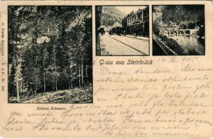 1905 Zidani Most, Steinbrück; Schloss Scheuern, Bahnhof / castle, railway station and bridge, train (EK)