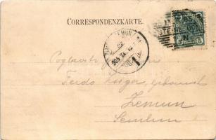 1905 Zidani Most, Steinbrück; Schloss Scheuern, Bahnhof / castle, railway station and bridge, train ...