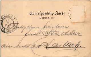 1898 (Vorläufer) Domzale, Domschale; Bahnhofstrasse, Steineralpen / railway station. Art Nouveau, fl...