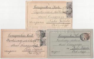 1898 (Vorläufer) Zalishchyky, Zaleszczyki; 7 hand-painted postcards