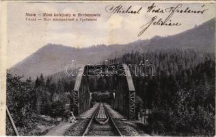 1914 Skole, Most kolejowy w Hrebenowie / railway bridge to Hrebeniv (fl)