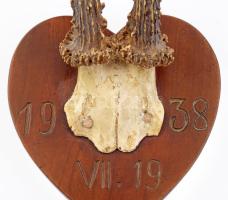 1938 Vadász trófea, m: 34 cm