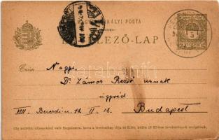 1907 Ferencfalva, Franzdorf, Valiug (Resicabánya, Resita); nyaraló. Levelezőlapra ragasztott fotó / ...