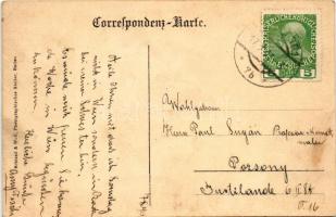 1913 Baden, Wilh. Hiedl's Hotel und Gasthof zum schwarzen Bock. Kaiser Franz Josefstrasse No. 5...