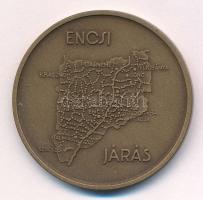 Bognár György (1944-) DN "Károlyi Gáspár Vizsolyi Bibliája / Encsi Járás" bronz emlékérem ...