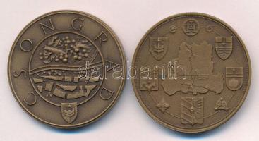 Lapis András (1942-) DN "Szeged / Szeged Tourist" kétoldalas bronz emlékérem (42,5mm) + &q...