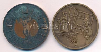 Lapis András (1942-) 1984. "A Tápéi hagyományőrző népi együttes 50 éves 1934-1984" kétolda...