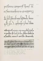 [Középkori írások fejlődése és összehasonlítása] Stephan Hajnal. Vergleichende Schriftproben zur Ent...