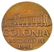 1991. &quot;Colonia Biztosító Rt. 1991&quot; kétoldalas, öntött bronz plakett (64mm) T:AU