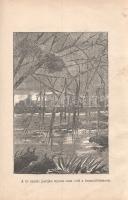 Verne, Jules: 
Három orosz és három angol kalandjai Dél-Afrikában. Fordította: Zempléni P. Gyula. I...