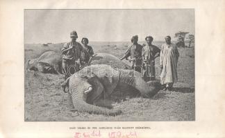 Höhnel, [Ludwig von] Lajos: 
A Rudolf és Stefánia tavakhoz. Teleki Sámuel gróf felfedező útja Kelet...