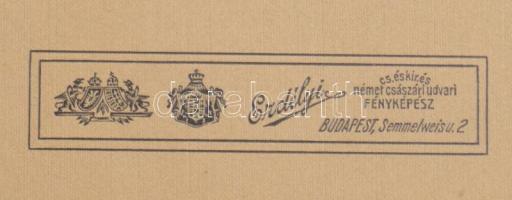 cca 1896 Dvorzsák Ferenc óbudai hentes mester feldíszített pavilonja a millenniumi (?) kiállításon, ...