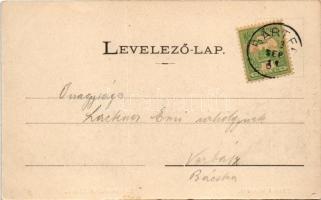 1903 Zboró, Zborov; várrom. Divald Adolf 24. / Zborovsky hrad / castle ruins