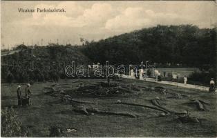 1908 Vízakna, Salzburg, Ocna Sibiului; park részletek. Budovszky L. kiadása / spa park (EK)