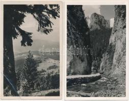 5 db RÉGI erdélyi város képeslap vegyes minőségben / 5 pre-1945 Transylvanian town-view postcards in...
