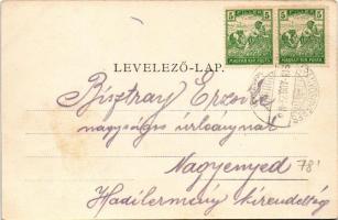 1918 Vajdahunyad, Hunedoara; vár, látkép. Schäser F. fénynyomdai műintézete kiadása / castle, genera...