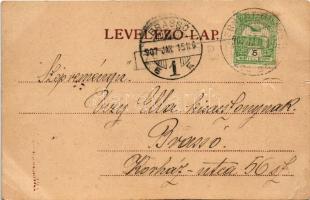 1907 Zernest, Zernyest, Zarnesti; Fő utca, Blosz üzlete. J. E. Steegmüller kiadása / Hauptstrasse / ...