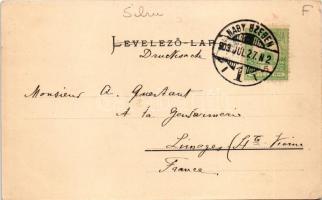 1903 Gruss aus... Sächs. Ehepaar. Siebenbürgische Volkstypen-Karte Nr. 3., G.A. Seraphin, Jos. Drotl...