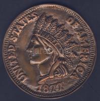 USA 1877. "One Cent" mintájára készült extrém nagyalakú Br plakett T:2