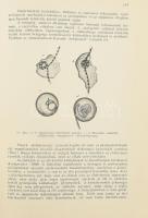 Dr. Huzella Tivadar: Általános biologia - Az orvostudomány alapjai az élettudományban. Bp., 1933, Ma...