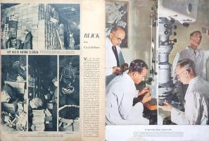 [Folyóirat] Signal. Főszerkesztő: Wilhelm Reetz. Megjelenik 14 naponként. 4. évfolyam, 1. szám. (194...