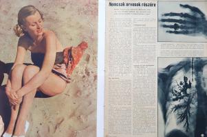 [Folyóirat] Signal. Főszerkesztő: Wilhelm Reetz. Megjelenik 14 naponként. 4. évfolyam, 15. szám. (19...