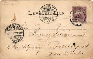 1905 Kassa, Kosice; Fő utca, Adriányi üzlete, piac. Vitéz A. kiadása / main street, shops, market. A...