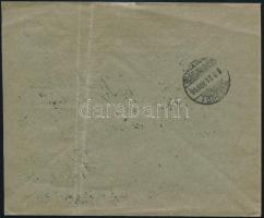 1895 5kr levélen, "PANCSOVA-NAGY-KIKINDA / 91. SZ. A" mozgóposta bélyegzéssel Budapestre