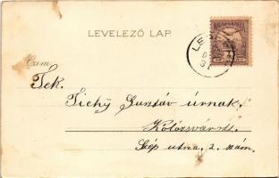 1900 Bakar, Szádrév, Bukar, Buccari; Kosmos Műintézet litho (fl)