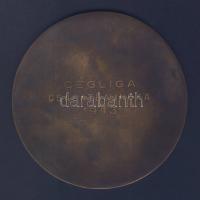 1943. Magyar Sakkszövetség extrém nagyalakú Br díjérem T:2