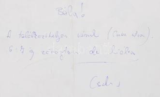 Tolcsvay Béla & His Country Band - 2 db plakát, hajtott, egyik hátoldalán kézzel írt üzenettel, ...