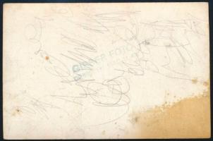 1948 Debrecen, 1848/49-es ünnepség, pecséttel jelzett fotó Gisser műterméből, 8,5×13 cm