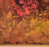 Dekoratív képkeret, képméret 50x70 cm