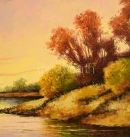 Hirkó Bálint (1975 - ) : Holtág. Olaj, farost, jelzett, dekoratív keretben 70x100 cm tanúsítvánnyal