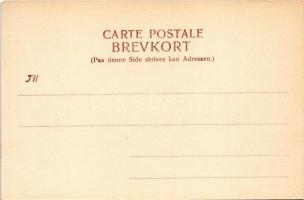 Helsingor, Helsingör; Stengade, Raadhuset / street view, town hall, shops