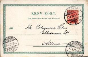 1900 Kobenhavn, Kjobenhavn, Kopenhagen, Copenhagen; Badehotel / spa hotel. litho (EK)