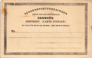 Kobenhavn, Kjobenhavn, Kopenhagen, Copenhagen; Kjobmagergade / street view, bicycle, shop of Carl Ra...