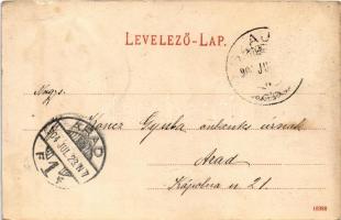 1904 Szolnok, Gorove utca, Vármegyeháza (EK)