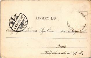 1904 Vásárosnamény, Tisza híd, gyógyszertár, Eötvös Jenőné kastélya. Friedländer Bernát és fia kiadá...