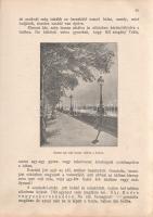 Cholnoky Viktor - (Tonelli Sándor): 
Mozgai Pali, a gyermekhős. 32 képpel.
Budapest, [1907]. Magya...