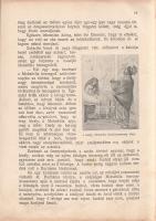 Cholnoky Viktor - (Tonelli Sándor): 
Mozgai Pali, a gyermekhős. 32 képpel.
Budapest, [1907]. Magya...