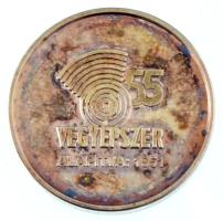 2006. &quot;Vegyépszer 55&quot; kétoldalas, a Völgyhidat ábrázoló ezüstözött fém emlékérem dísztokban (23mm) T:PP patina