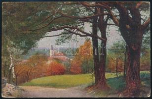 1919 Képeslap Nagyszebenről cenzúrázva, román bérmentesítéssel Hódmezővásárhelyre